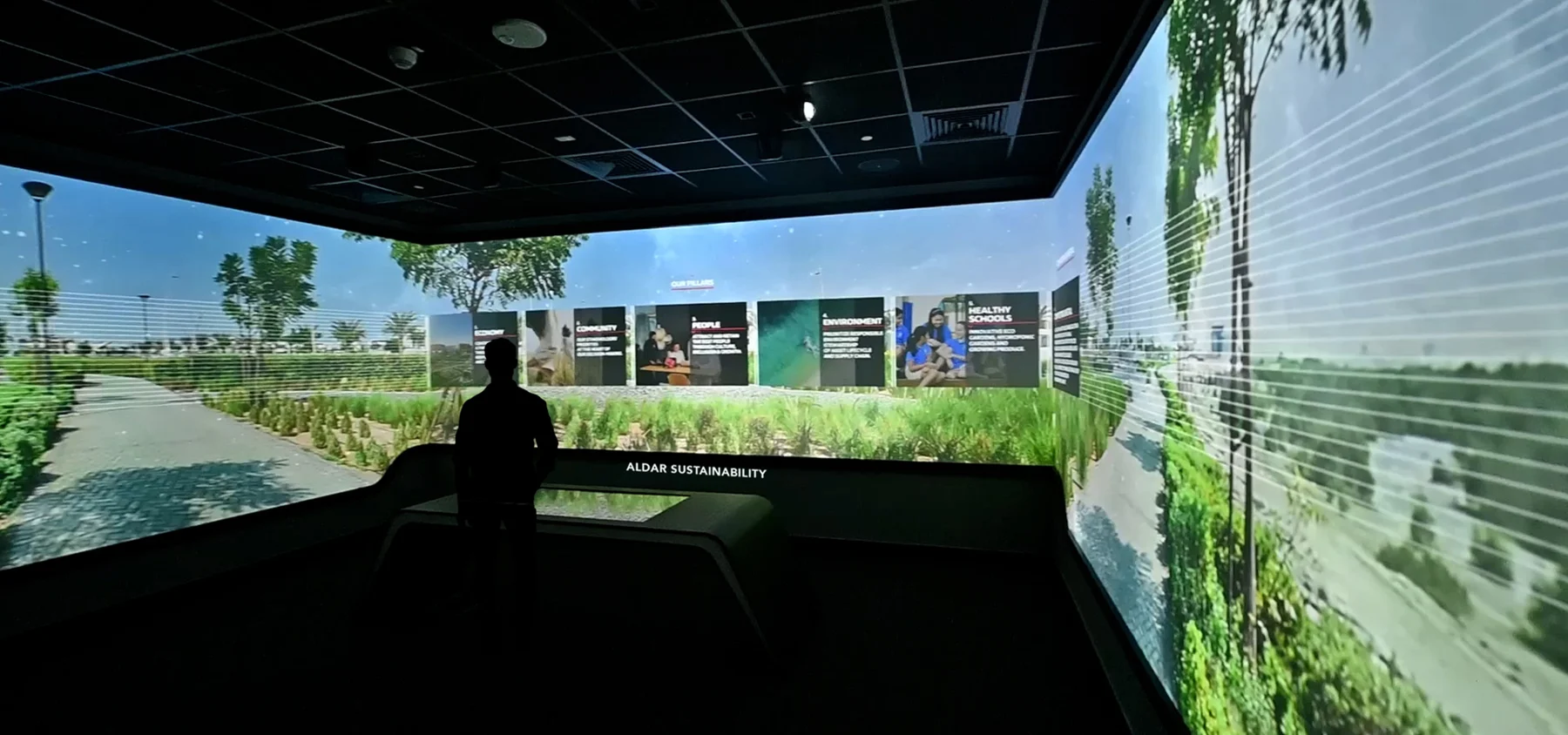 Immersive environments