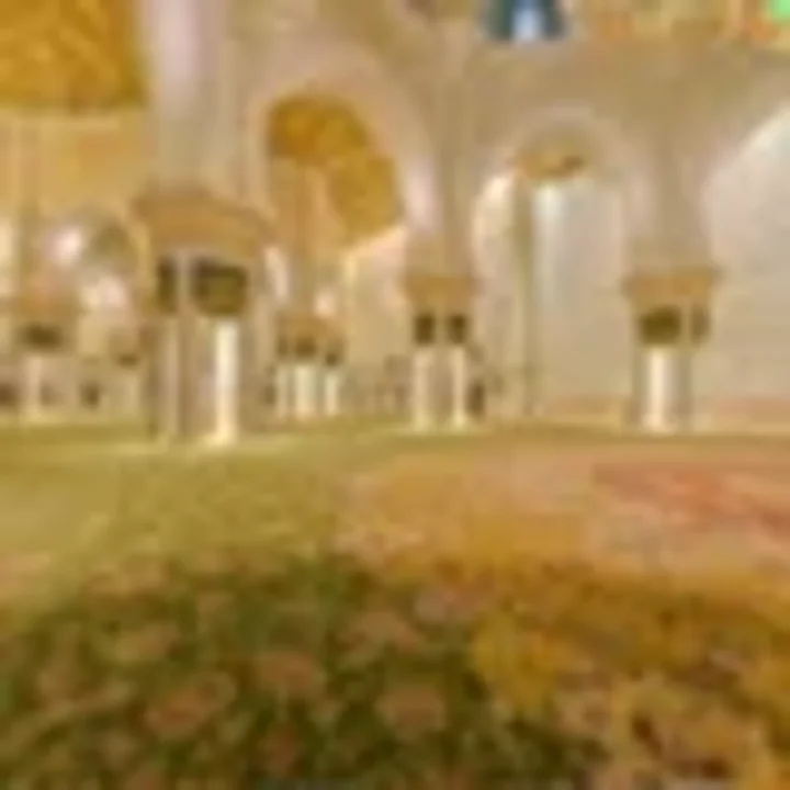 Sheikh Zayed Grand Mosque panoramic experience preview