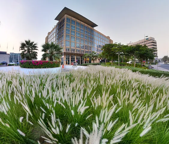 Yas Plaza panoramic experience preview